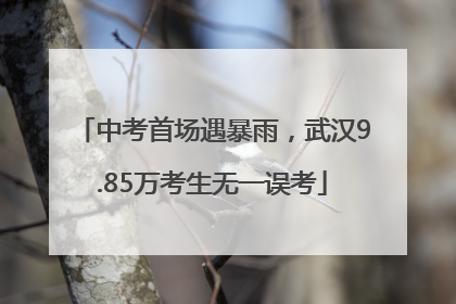 中考首场遇暴雨，武汉9.85万考生无一误考
