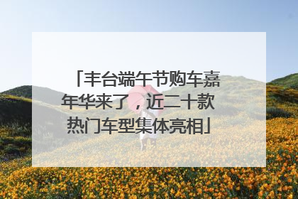 丰台端午节购车嘉年华来了，近二十款热门车型集体亮相