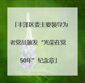 丰泽区委主要领导为老党员颁发“光荣在党50年”纪念章
