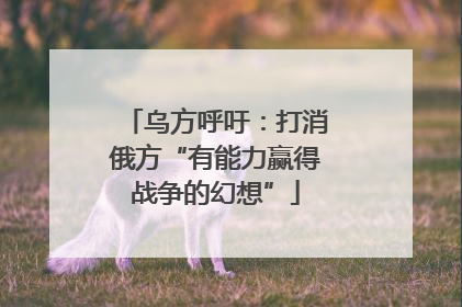 乌方呼吁：打消俄方“有能力赢得战争的幻想”