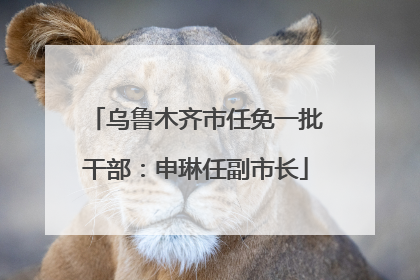 乌鲁木齐市任免一批干部：申琳任副市长