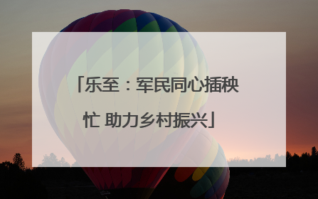 乐至：军民同心插秧忙 助力乡村振兴