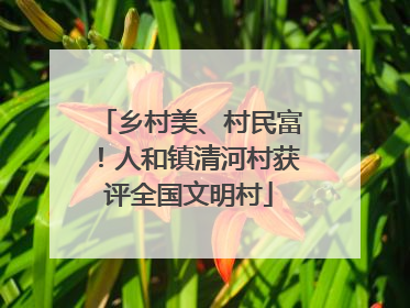 乡村美、村民富！人和镇清河村获评全国文明村
