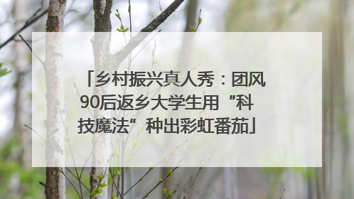 乡村振兴真人秀：团风90后返乡大学生用“科技魔法”种出彩虹番茄