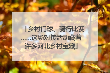 乡村门球、骑行比赛……这场对接活动藏着许多河北乡村宝藏
