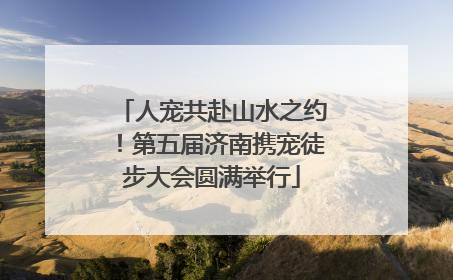 人宠共赴山水之约！第五届济南携宠徒步大会圆满举行