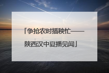 争抢农时插秧忙——陕西汉中夏播见闻