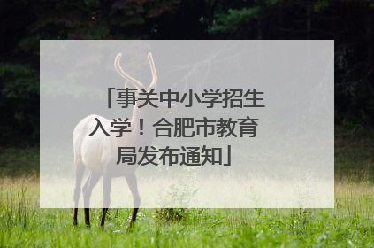 事关中小学招生入学！合肥市教育局发布通知