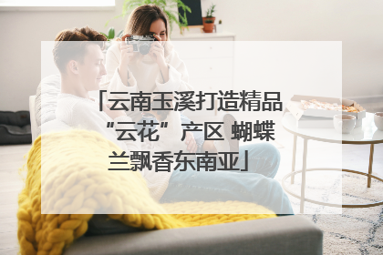云南玉溪打造精品“云花”产区 蝴蝶兰飘香东南亚