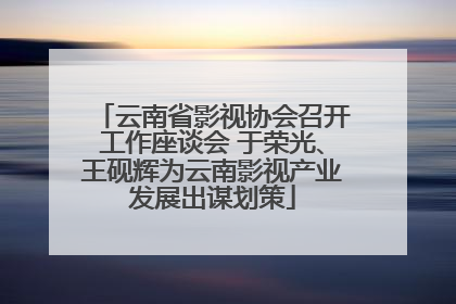 云南省影视协会召开工作座谈会 于荣光、王砚辉为云南影视产业发展出谋划策