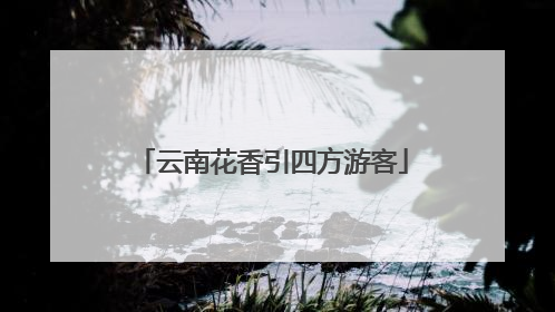 云南花香引四方游客