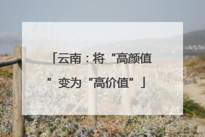 云南：将“高颜值”变为“高价值”
