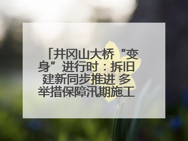 井冈山大桥“变身”进行时：拆旧建新同步推进 多举措保障汛期施工（图）