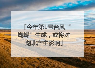 今年第1号台风“蝴蝶”生成，或将对湖北产生影响