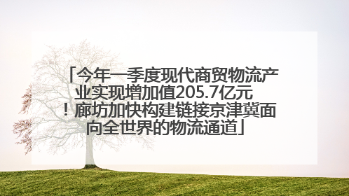 今年一季度现代商贸物流产业实现增加值205.7亿元！廊坊加快构建链接京津冀面向全世界的物流通道