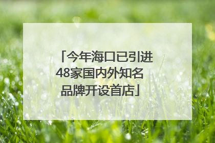 今年海口已引进48家国内外知名品牌开设首店