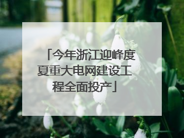 今年浙江迎峰度夏重大电网建设工程全面投产