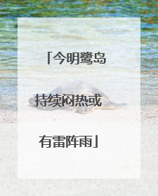 今明鹭岛持续闷热或有雷阵雨