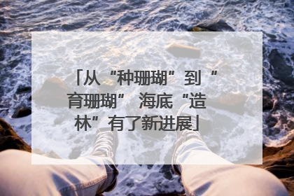 从“种珊瑚”到“育珊瑚” 海底“造林”有了新进展