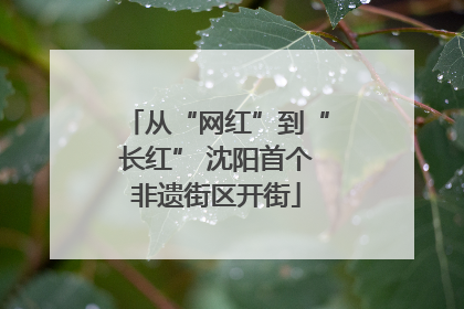 从“网红”到“长红” 沈阳首个非遗街区开街