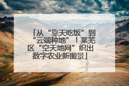从“靠天吃饭”到“云端种地”！莱芜区“空天地网”织出数字农业新图景