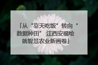 从“靠天吃饭”转向“数据种田” 江西安福绘就智慧农业新画卷