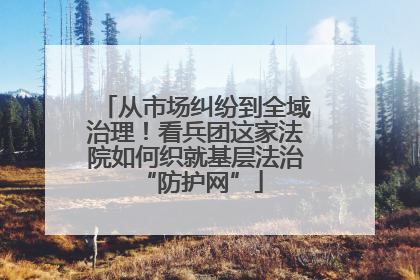 从市场纠纷到全域治理！看兵团这家法院如何织就基层法治 “防护网”