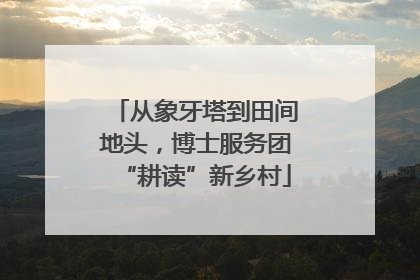 从象牙塔到田间地头，博士服务团“耕读”新乡村