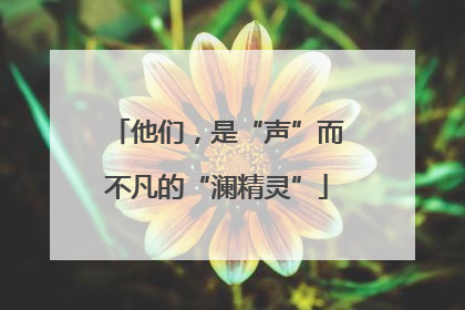 他们，是“声”而不凡的“澜精灵”