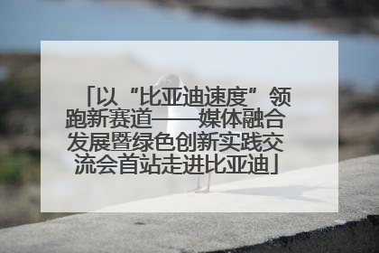 以“比亚迪速度”领跑新赛道——媒体融合发展暨绿色创新实践交流会首站走进比亚迪