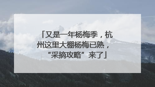 又是一年杨梅季，杭州这里大棚杨梅已熟，“采摘攻略”来了