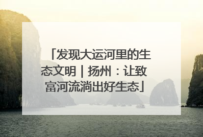 发现大运河里的生态文明｜扬州：让致富河流淌出好生态