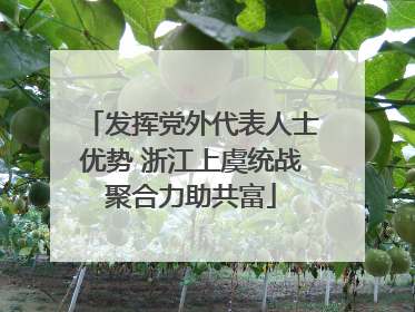 发挥党外代表人士优势 浙江上虞统战聚合力助共富