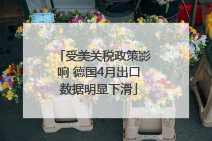 受美关税政策影响 德国4月出口数据明显下滑