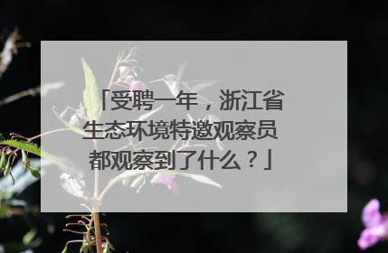 受聘一年，浙江省生态环境特邀观察员都观察到了什么？