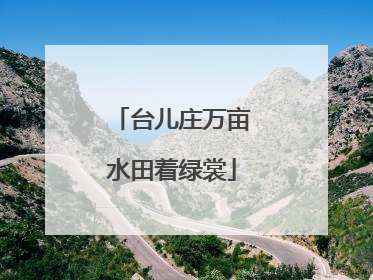 台儿庄万亩水田着绿裳