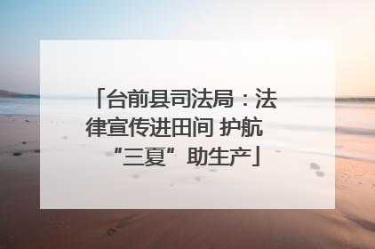 台前县司法局：法律宣传进田间 护航“三夏”助生产