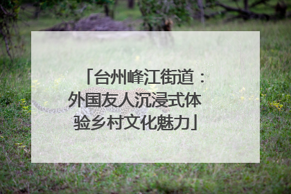 台州峰江街道：外国友人沉浸式体验乡村文化魅力
