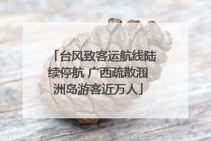 台风致客运航线陆续停航 广西疏散涠洲岛游客近万人
