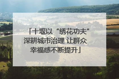 十堰以“绣花功夫”深耕城市治理 让群众幸福感不断提升