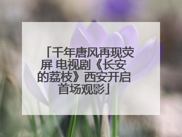 千年唐风再现荧屏 电视剧《长安的荔枝》西安开启首场观影