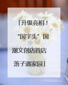 升级亮相！“国字头”国潮文创店首店落子潘家园