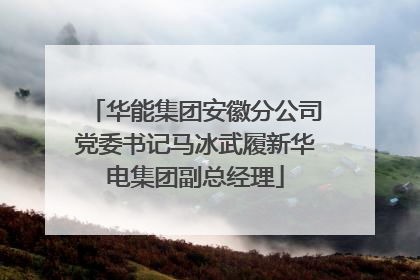华能集团安徽分公司党委书记马冰武履新华电集团副总经理
