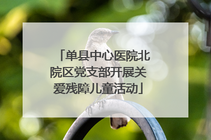 单县中心医院北院区党支部开展关爱残障儿童活动