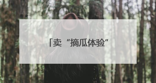 卖“摘瓜体验”，卖西瓜创意甜品，这里的西瓜卖出高价还不愁卖