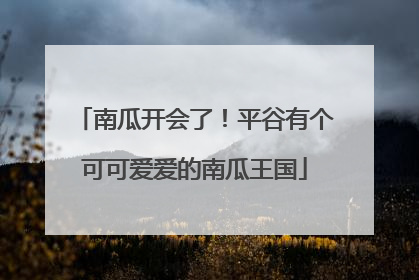 南瓜开会了！平谷有个可可爱爱的南瓜王国
