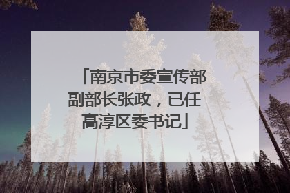 南京市委宣传部副部长张政，已任高淳区委书记
