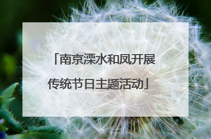 南京溧水和凤开展传统节日主题活动