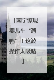 南宁惊现婴儿车“遛鸭”！这波操作太吸睛