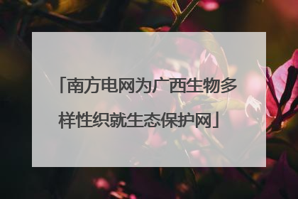 南方电网为广西生物多样性织就生态保护网